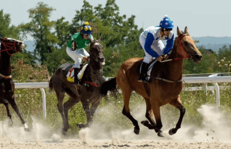 Horse Racing: What You Should Know About Tracks and Distances