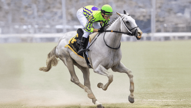 Horse Racing: Where the Past Meets the Present